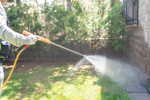 Best Organic or Eco-Friendly Pest Control  in Oakland, OR